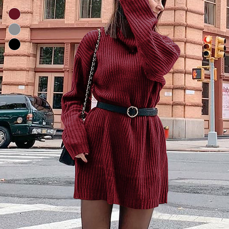 Women's Turtleneck Knit Long Sleeve Chunky Loose Sweater Dress