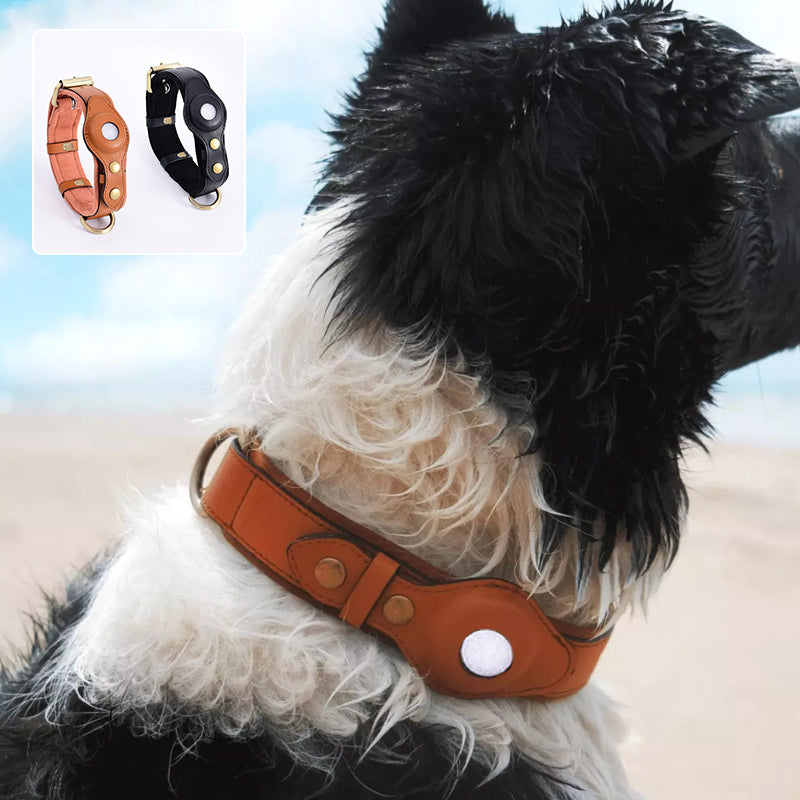Leather Airtag Collar
