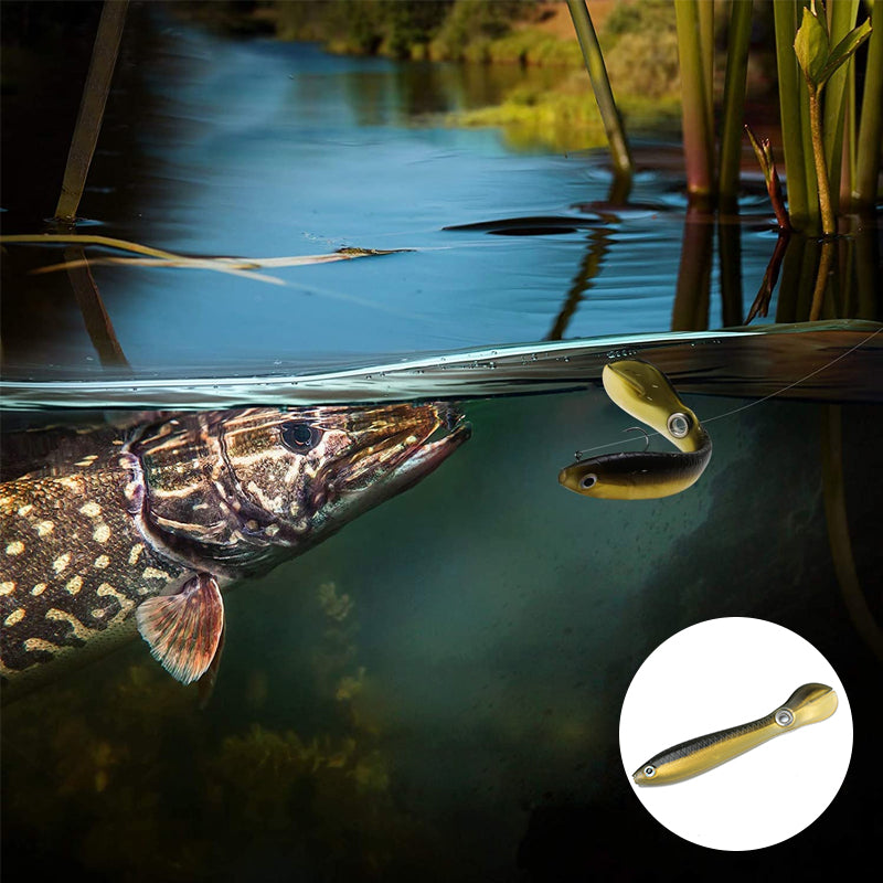 Soft Plastic Lure