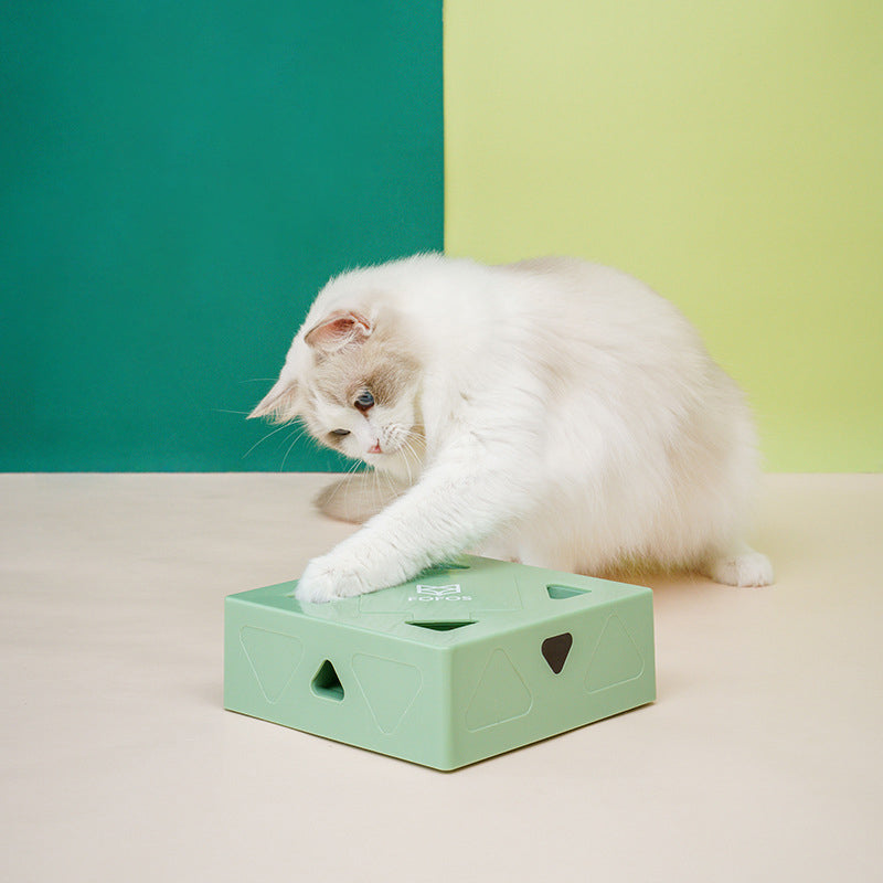 Electric Funbox for Your Cat