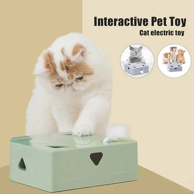 Electric Funbox for Your Cat