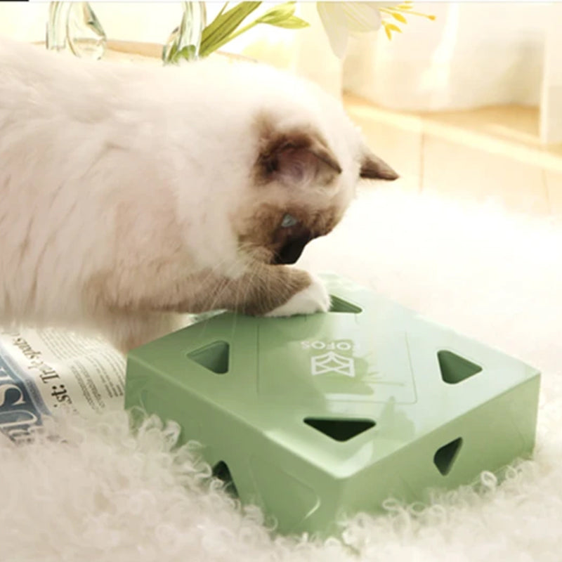 Electric Funbox for Your Cat