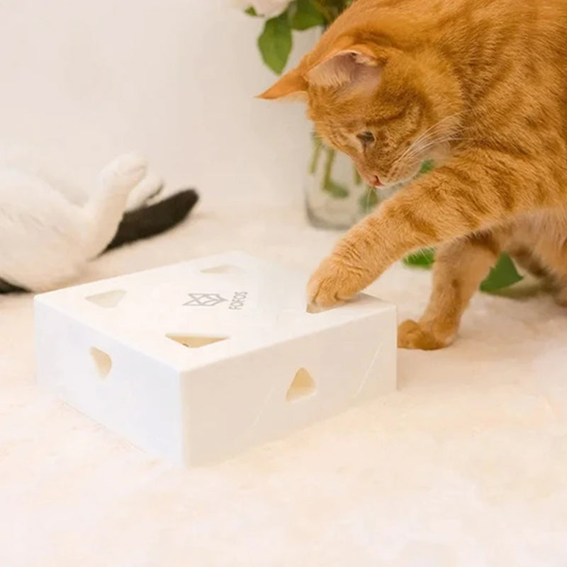 Electric Funbox for Your Cat