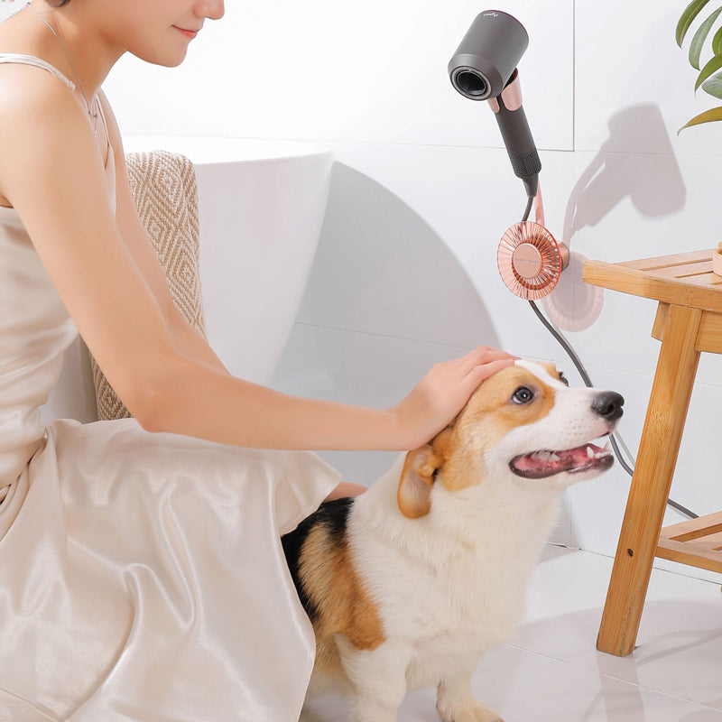 Hair Dryer Holder