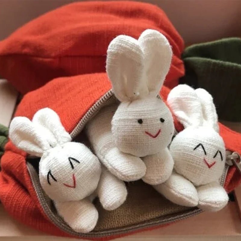 Hide-and-Seek Bunnies in Carrot Pouch