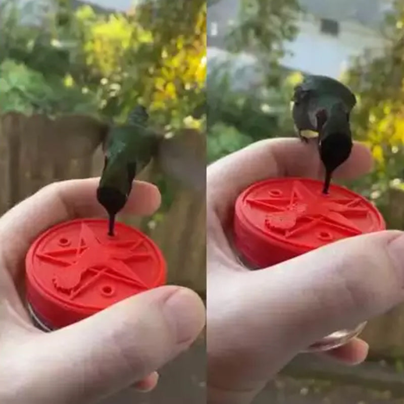 Hummingbird Feeder