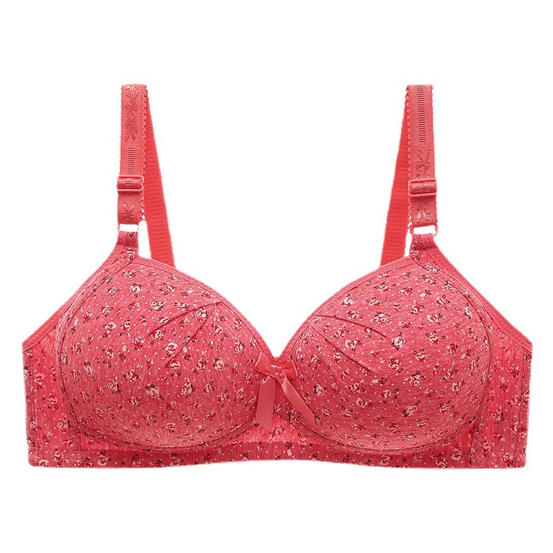 New Plus Size Bra