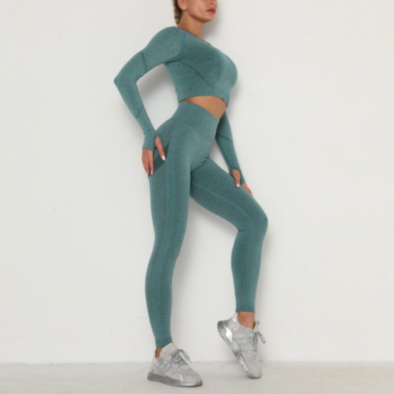 Seamless Yoga Clothing Set