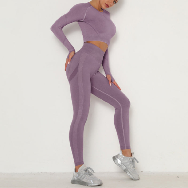 Seamless Yoga Clothing Set