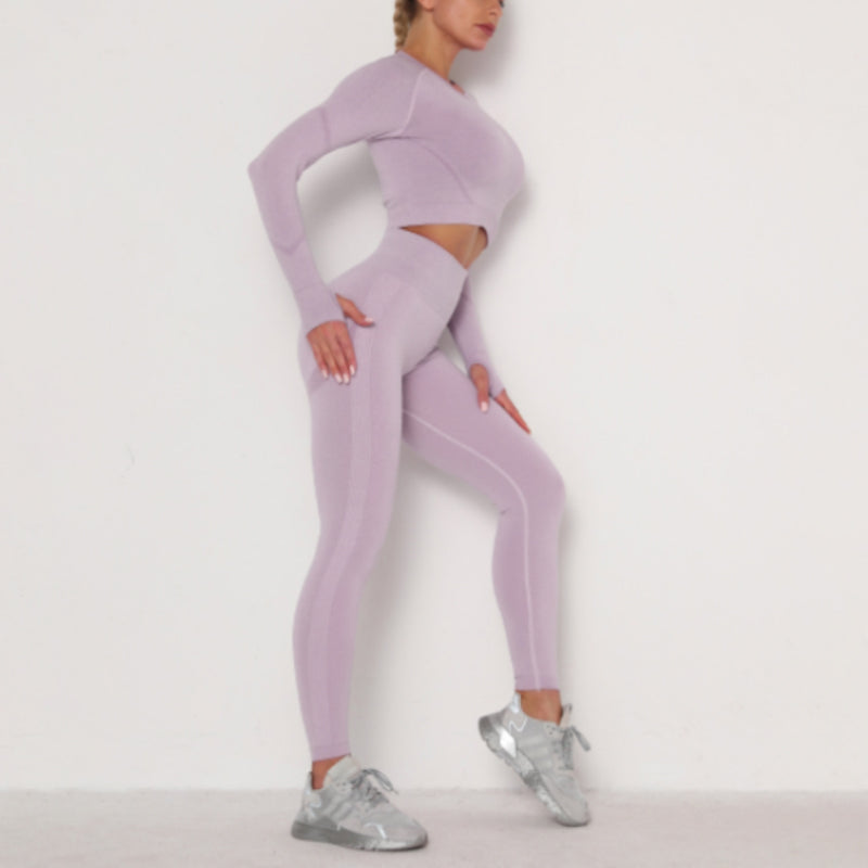 Seamless Yoga Clothing Set