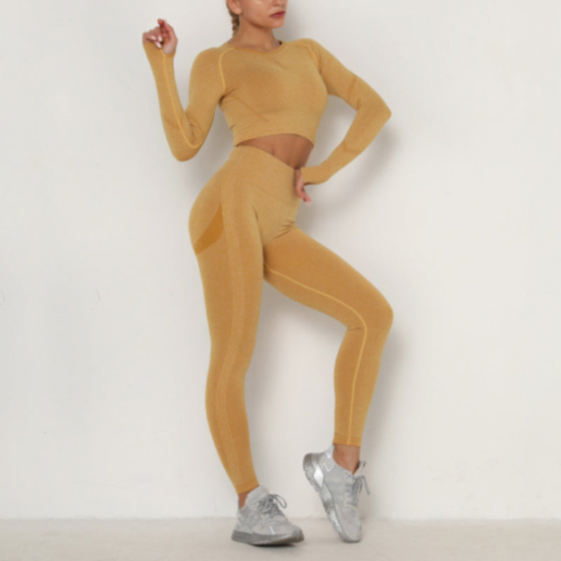 Seamless Yoga Clothing Set