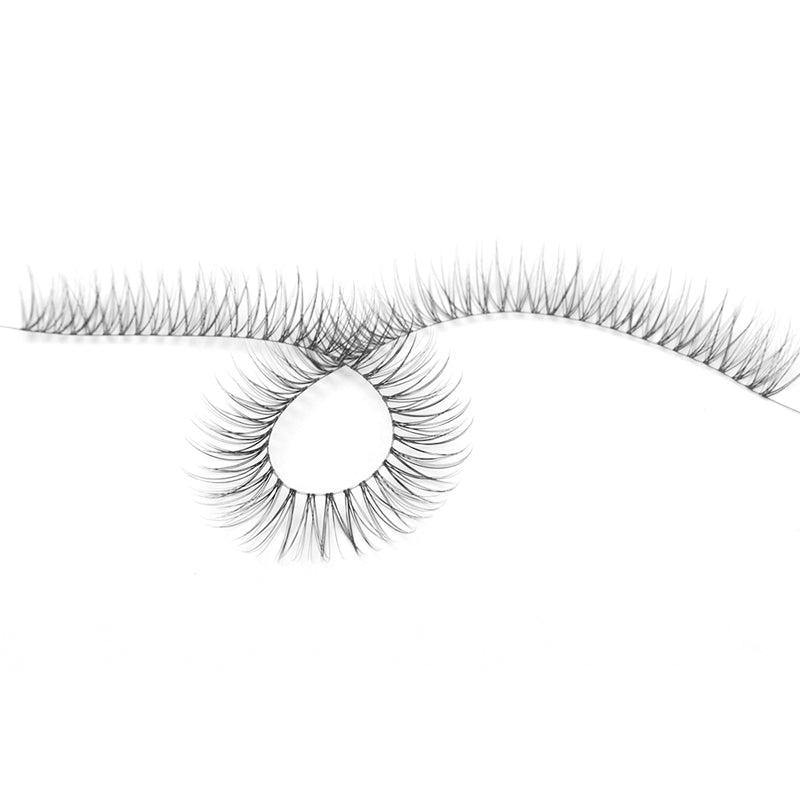 Segmented Long Strips of False Eyelashes