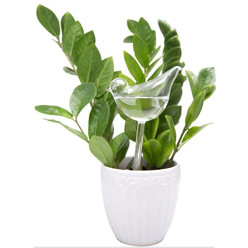 Self-watering Plant Glass Bulb