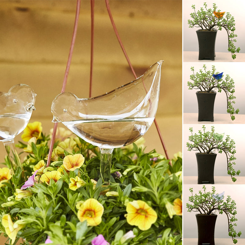 Self-watering Plant Glass Bulb
