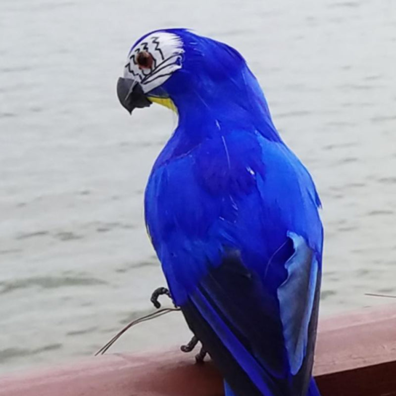 Simulation Parrot Decoration