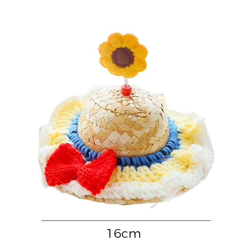Pet Straw Hat