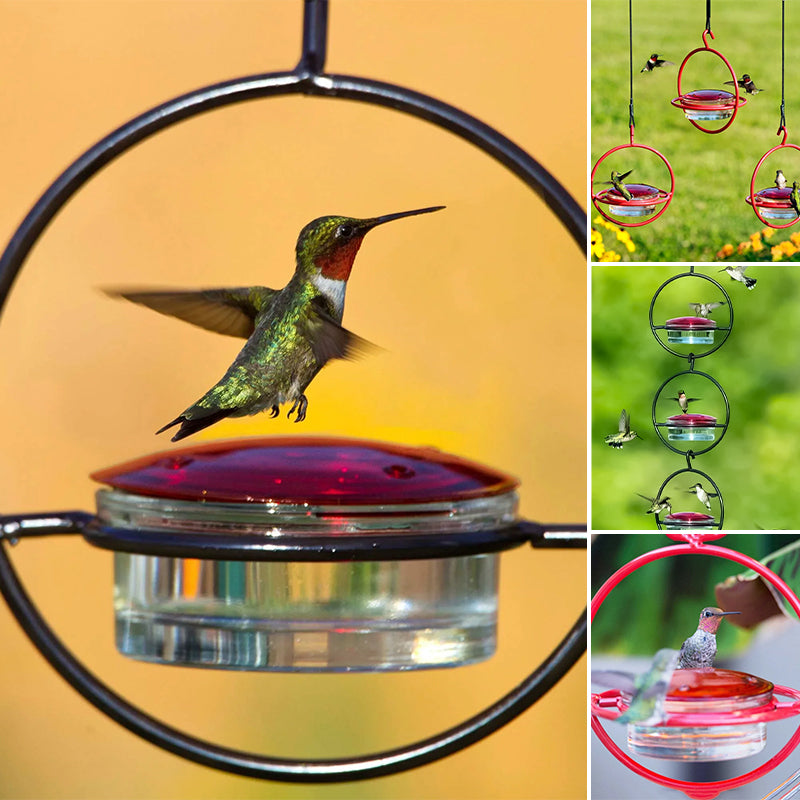 Hummble Slim Hummingbird Feeder