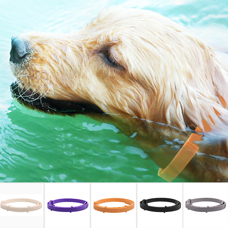 Pet Deworming Collar