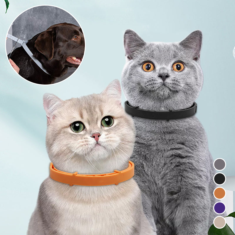 Pet Deworming Collar